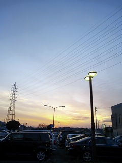 (untitled)